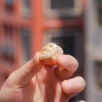 Bague "Serpent Élégant"